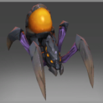 Amber Queen's Spiderling