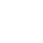 Team Spirit Team Sticker - TI 2022